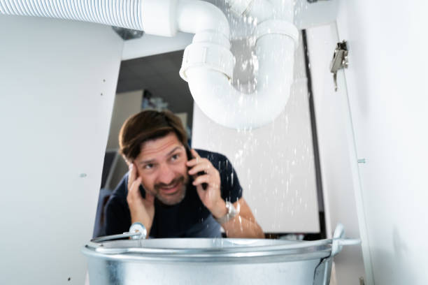 Best Clogged Drain Plumber  in River Ridge, FL